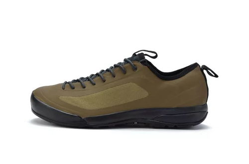 鳥鞋新色煥新登場(chǎng) 極致體驗(yàn)，悅享足下風(fēng)采